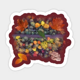 Autumn mood - Forest from above Sticker